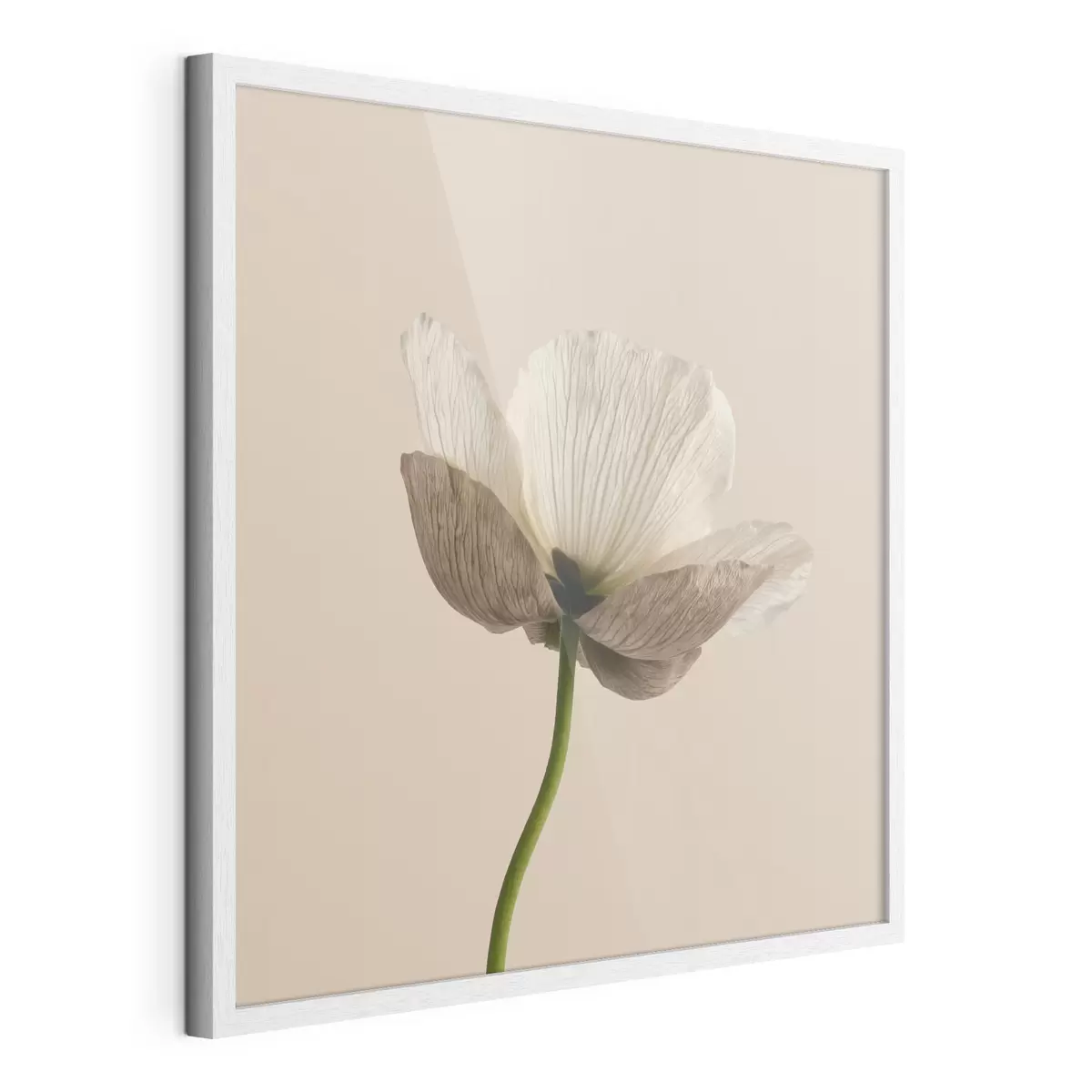 Plakat Minimalistlikus stiilis õrn lill läbipaistvate kroonlehtedega beeži taustal f49718