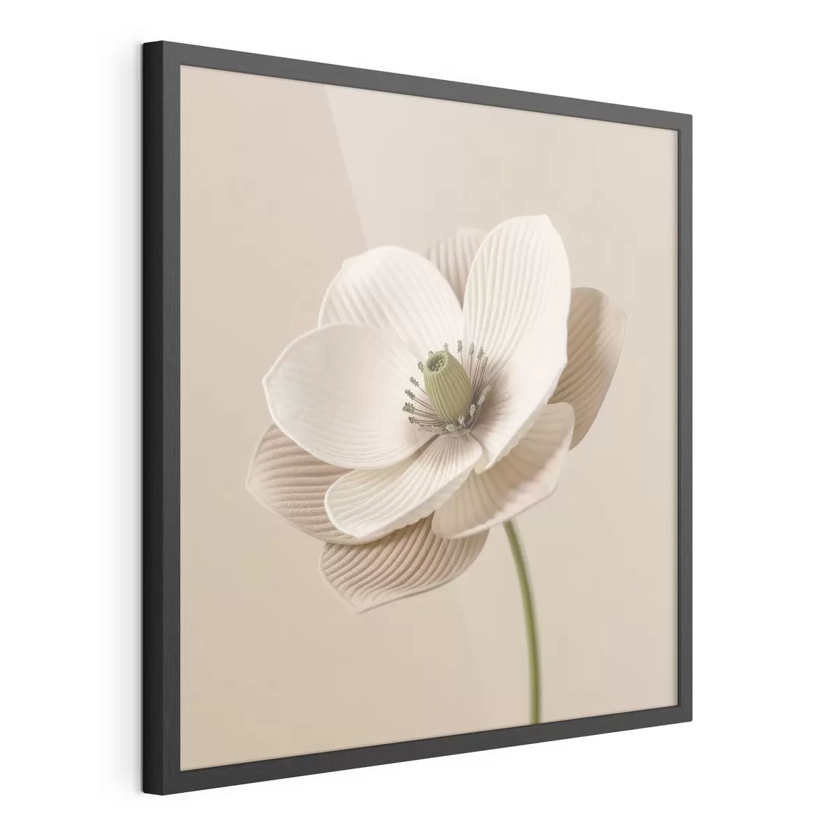 Plakat Minimalistlikus stiilis lill tekstuurse kroonlehtedega beežides toonides f49719