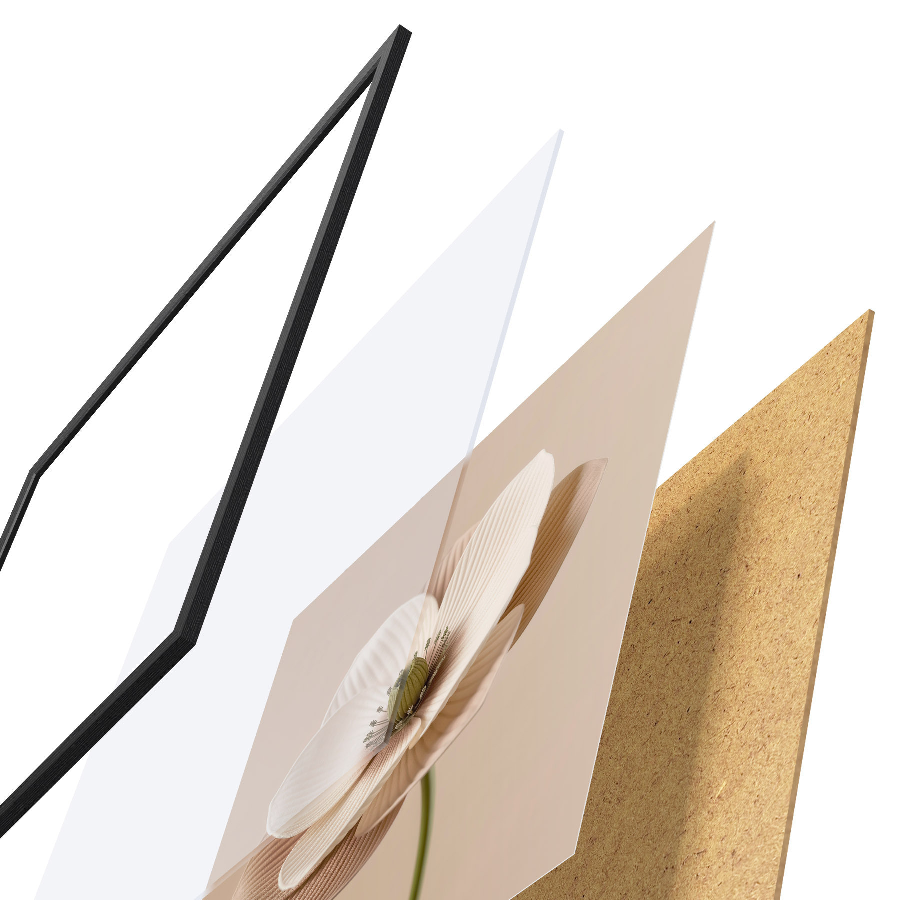 Plakat Minimalistlikus stiilis lill tekstuurse kroonlehtedega beežides toonides f49719