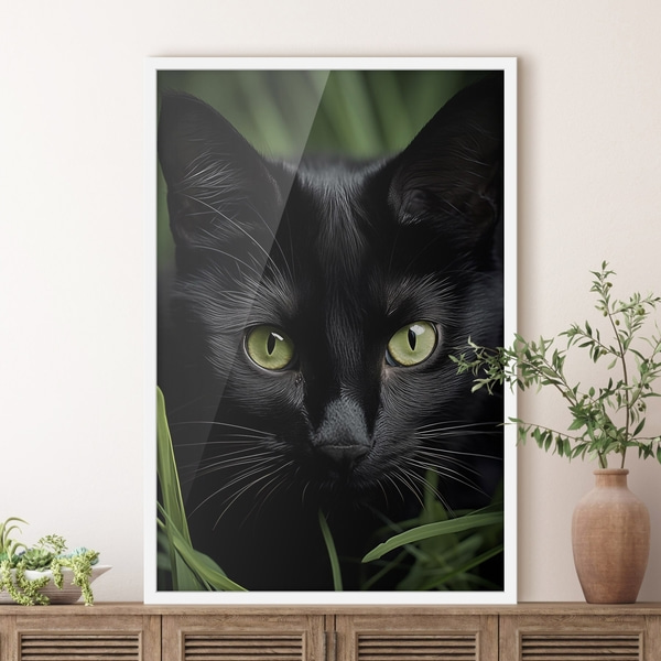 Plakatite Musta kassi pilk troopikas, Plakatid Loomad, f50761wh : Uwalls