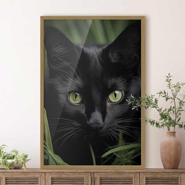 Plakatite Musta kassi pilk troopikas, Plakatid Loomad, f50761wo : Uwalls