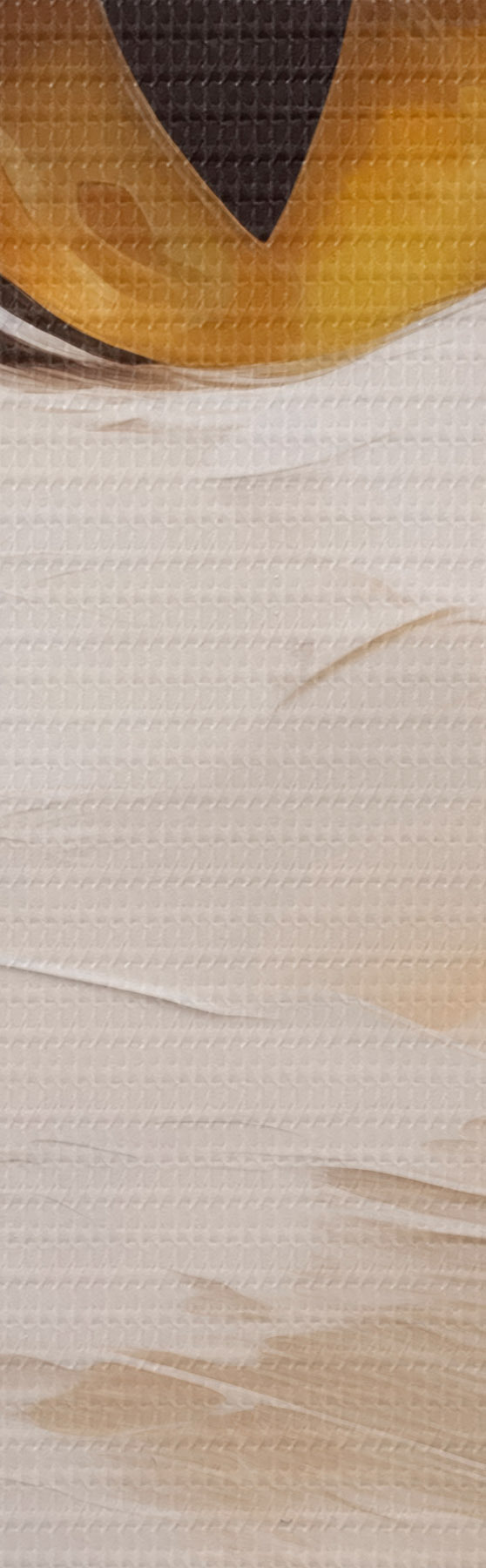 Pilt Kass, imitatsioonmaal s50988