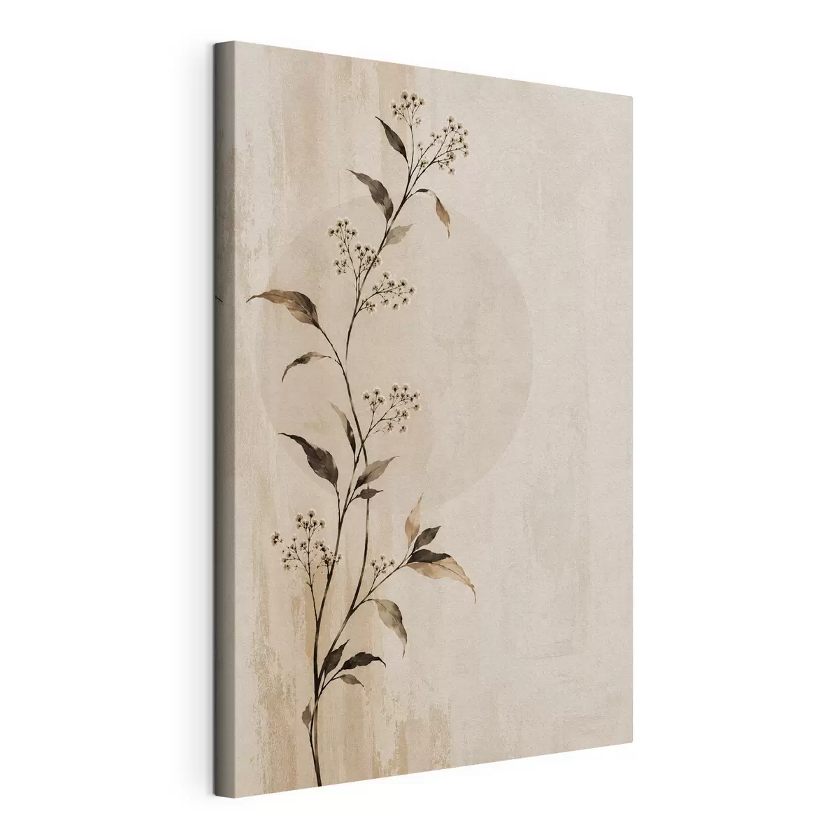 Pilt Vaikne elegants s50725