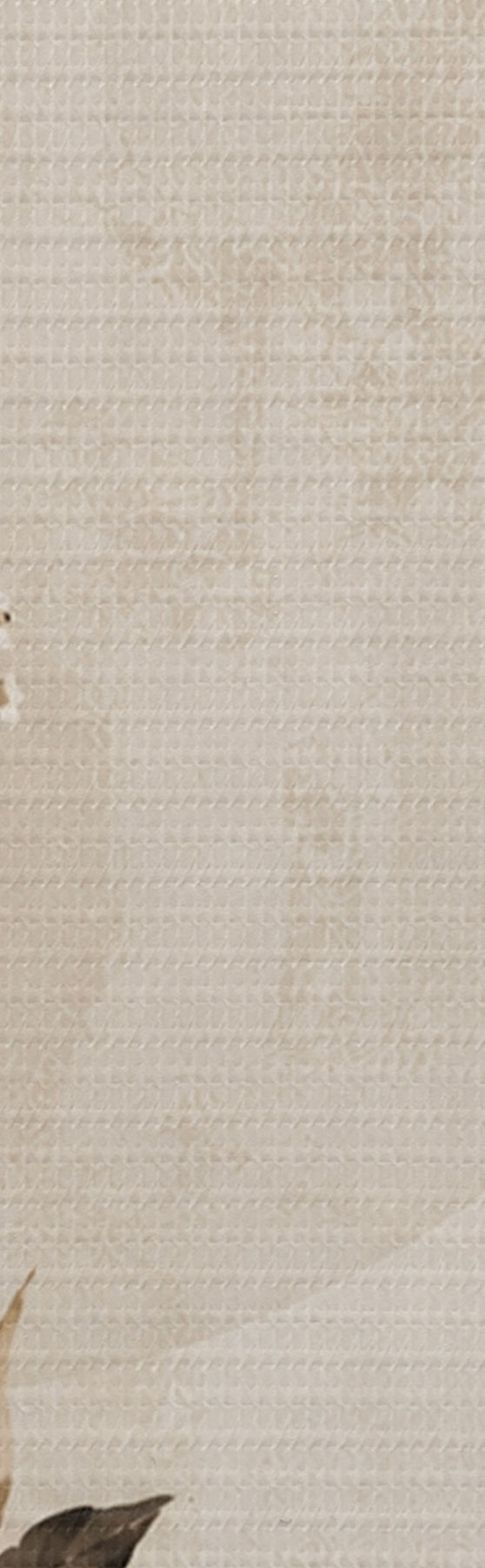 Pilt Vaikne elegants s50725