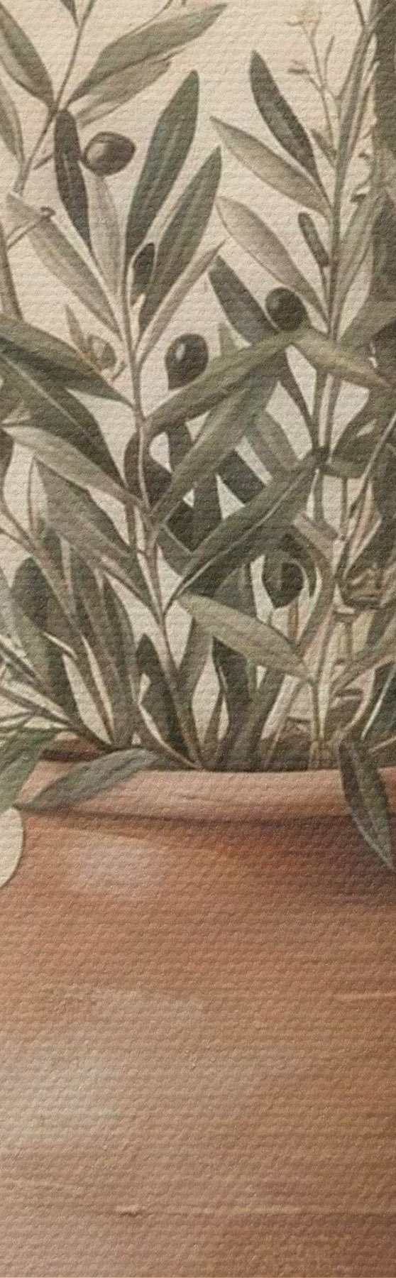 Pilt Aeglase eluviisi kunst s50891