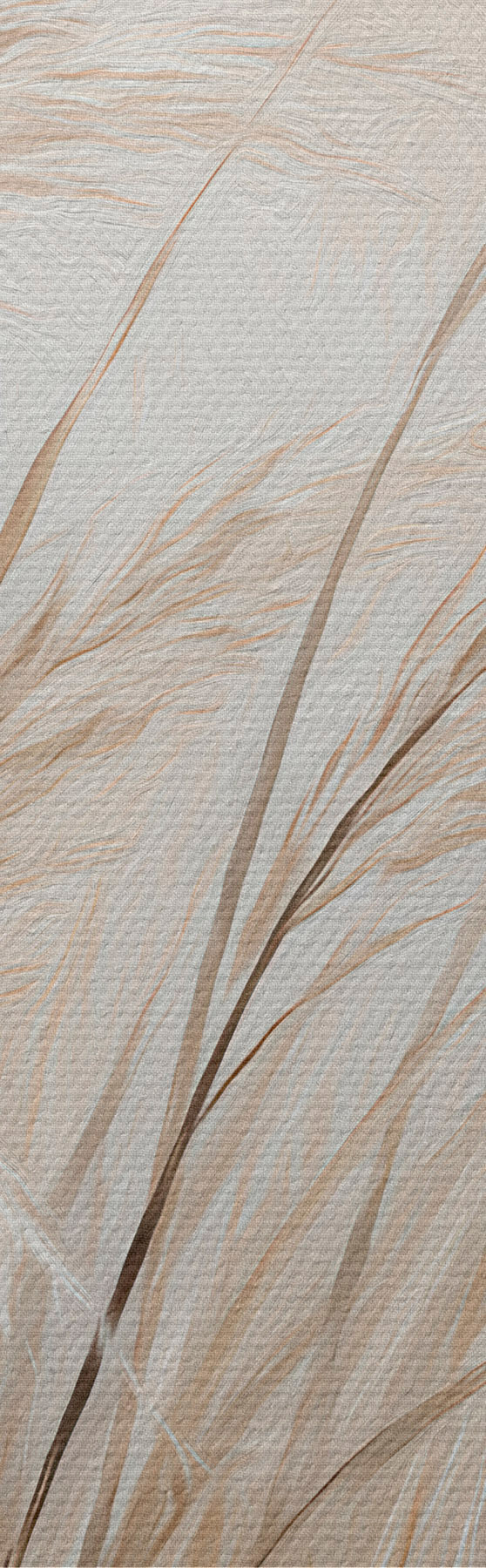 Pilt Nisukõrred s51045