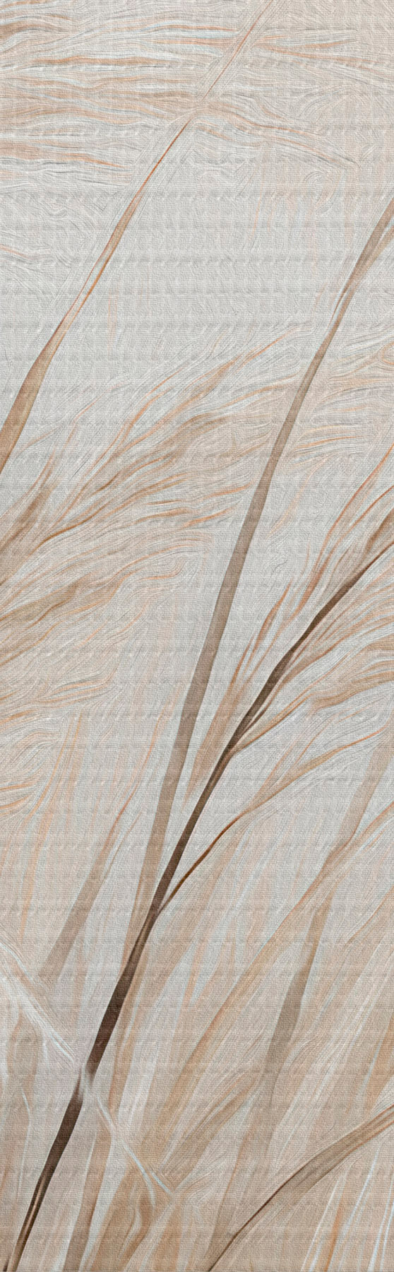 Pilt Nisukõrred s51045