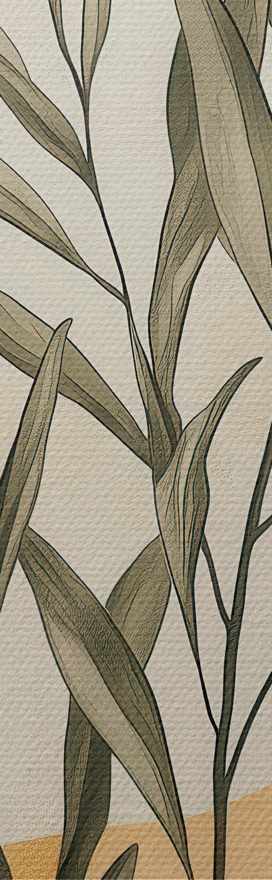 Pilt Oliivipuuoks s51055