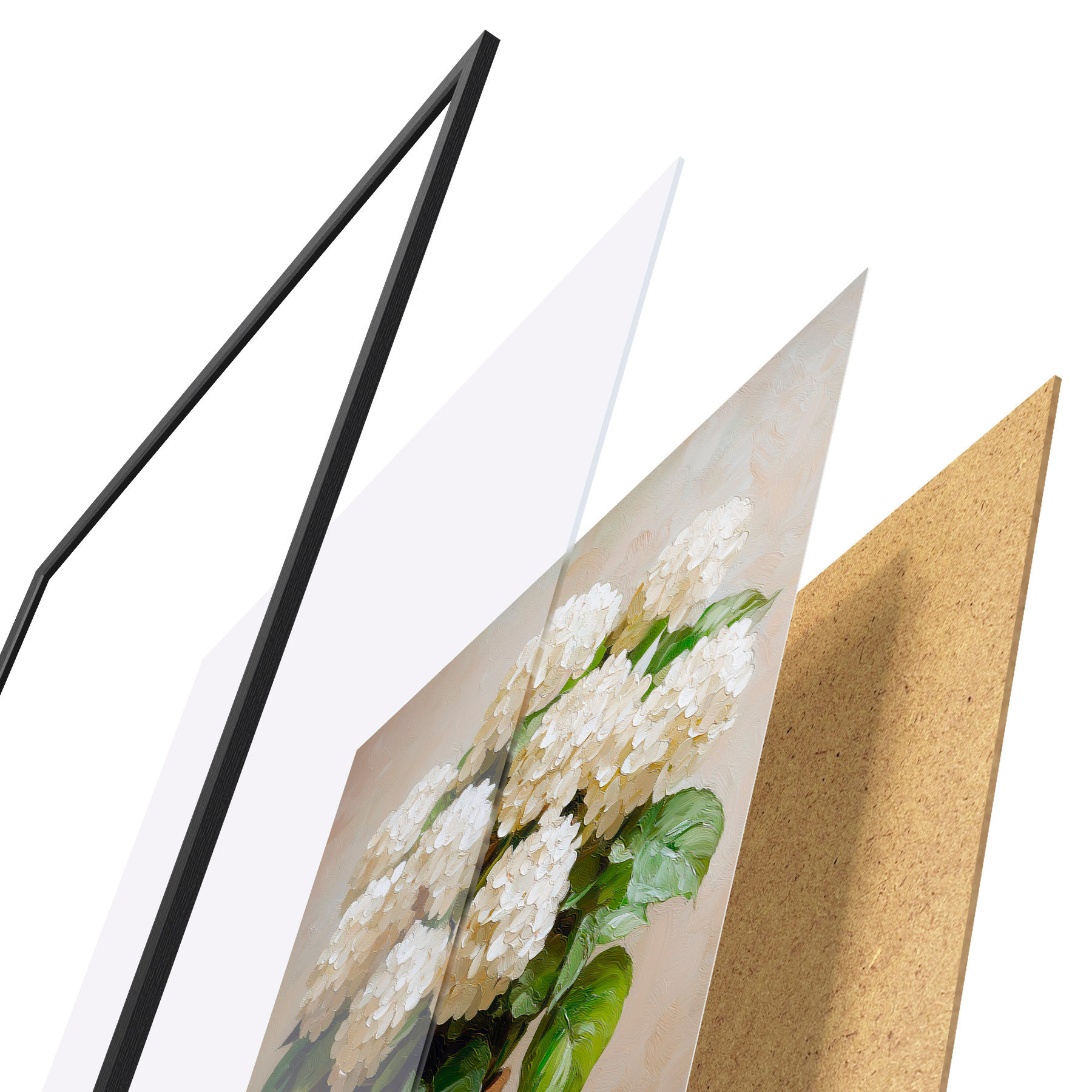 Plakat Valged hortensiad f51062