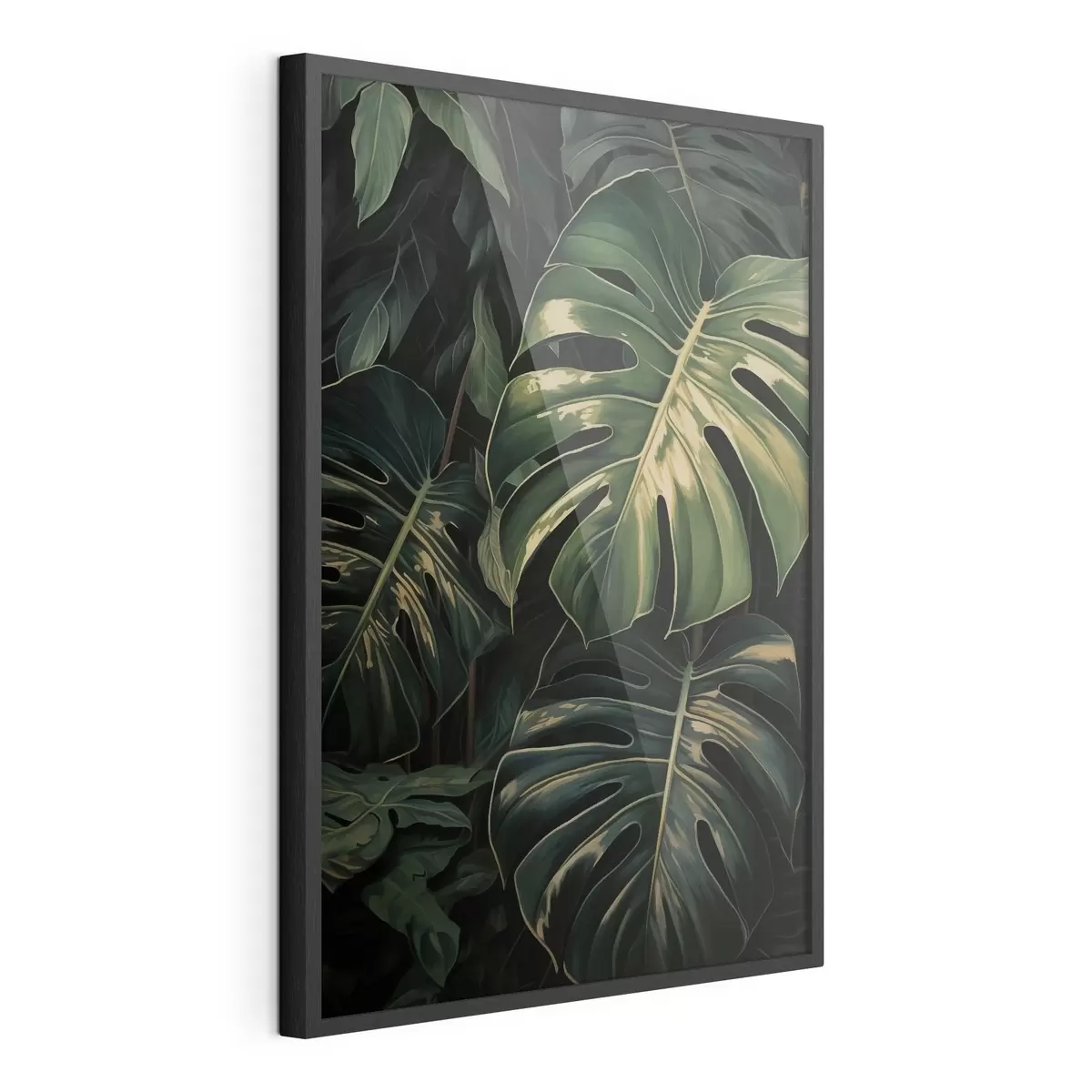 Plakat Läikivad monstera lehed pimedates troopikates f51091