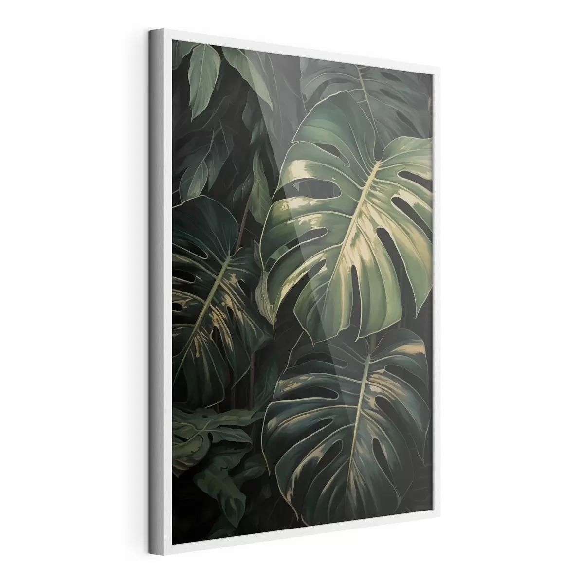 Plakat Läikivad monstera lehed pimedates troopikates f51091