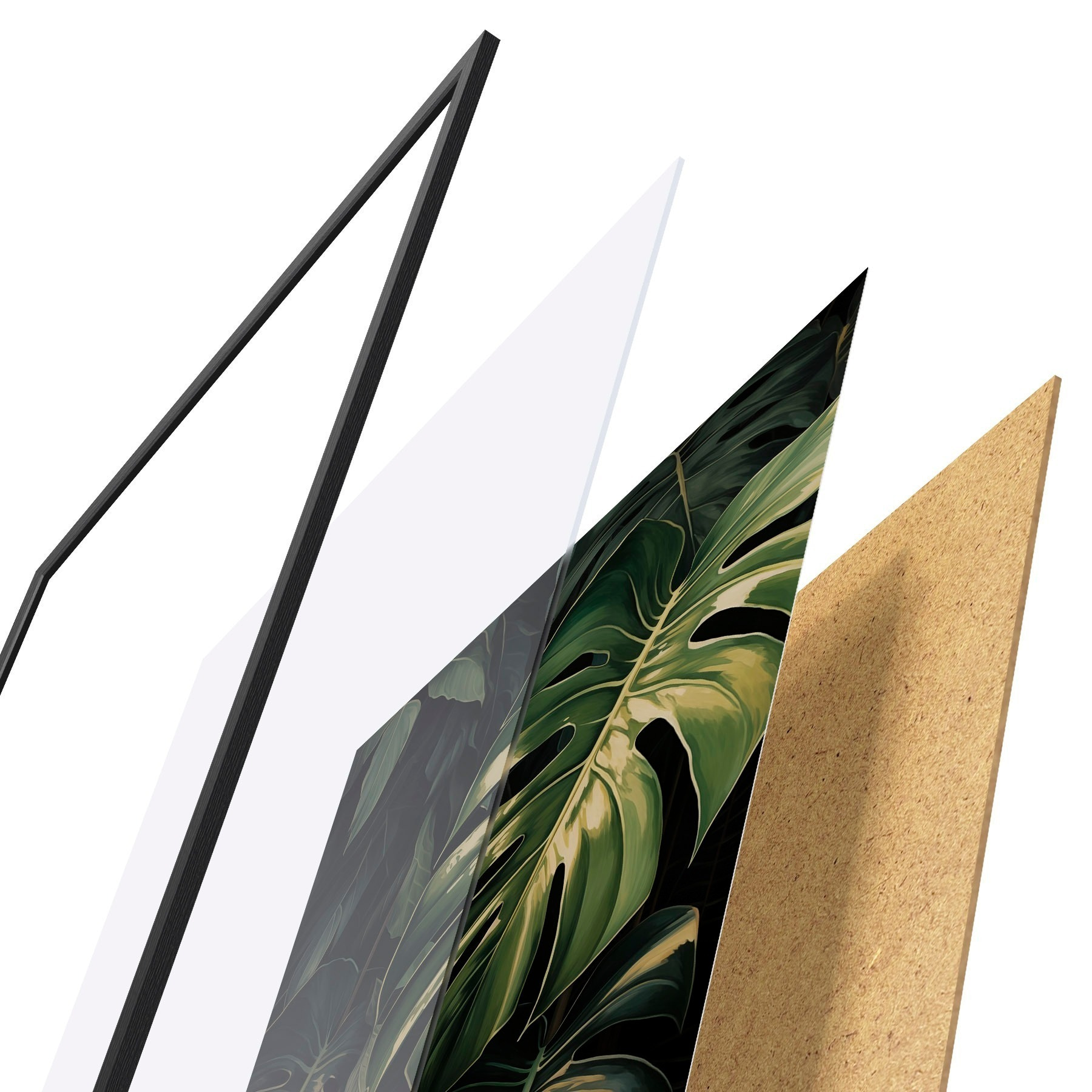 Plakat Läikivad monstera lehed pimedates troopikates f51091