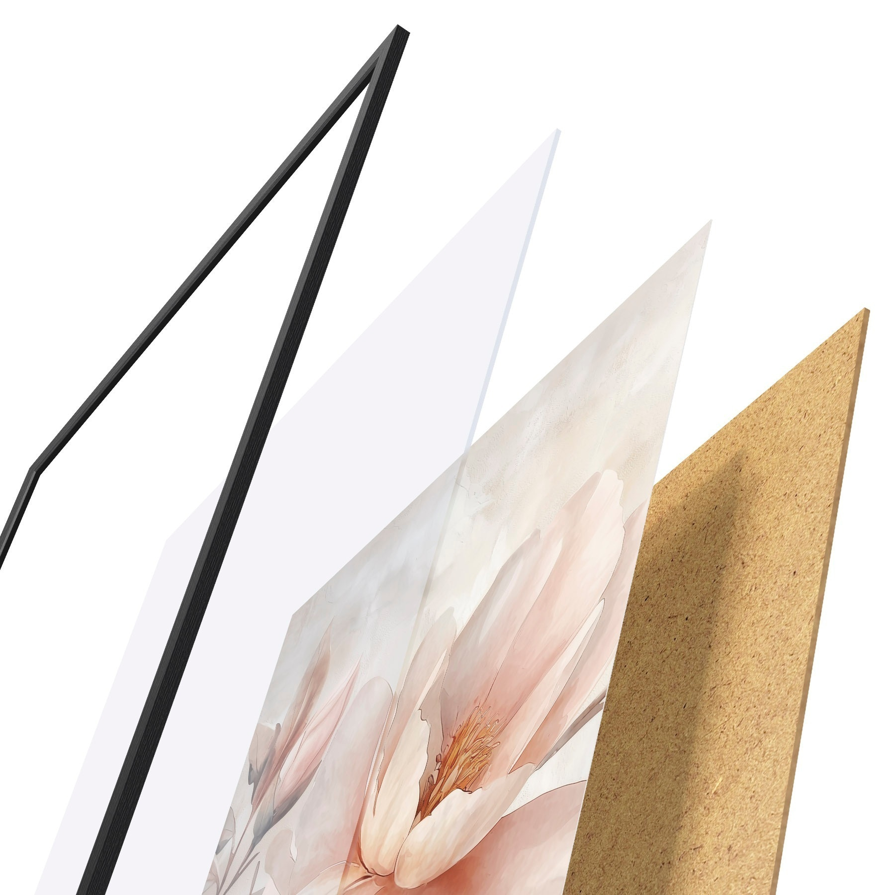 Plakat Pulbriline pioon koos pungaga f51097
