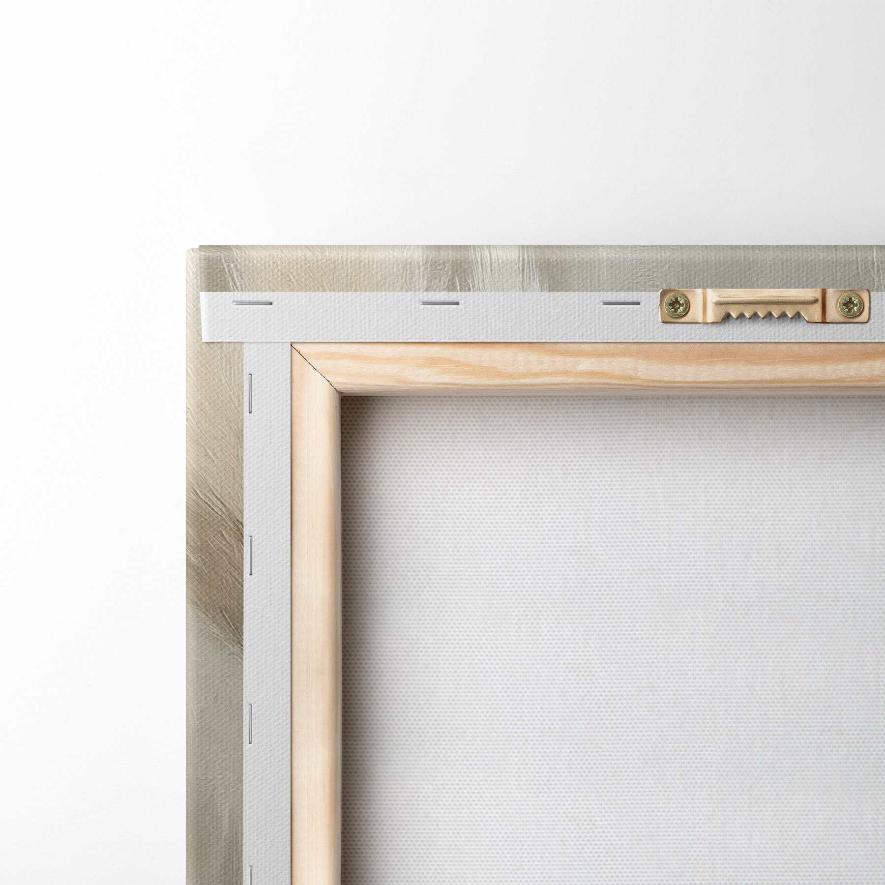 Pilt pampasrohi s51151
