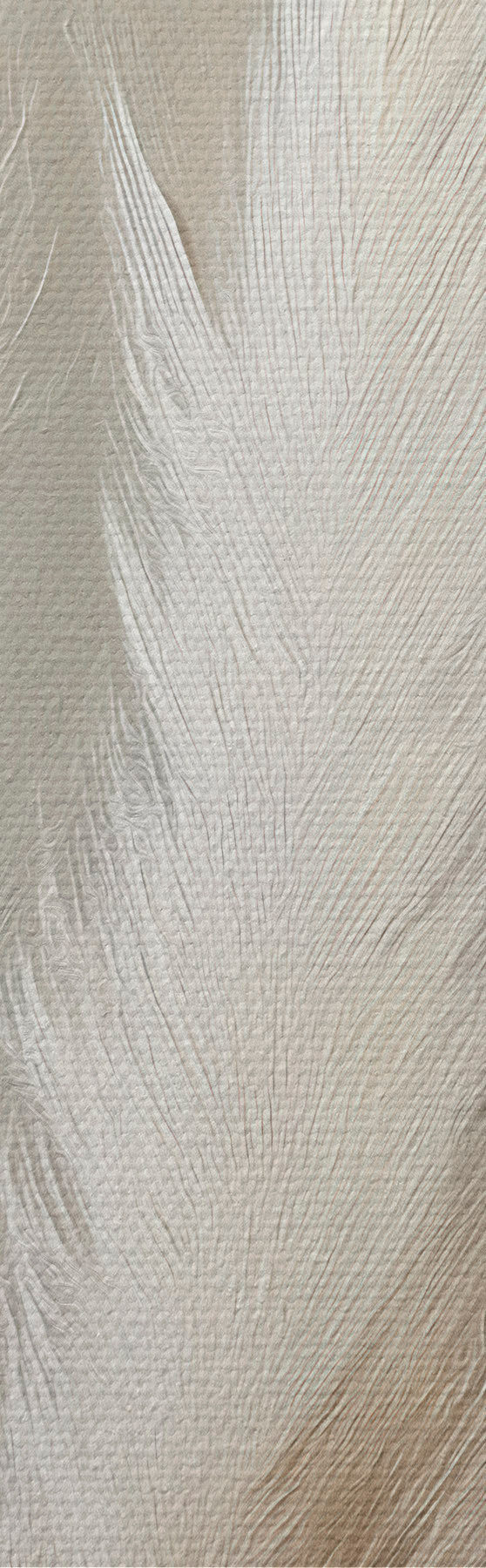 Pilt pampasrohi s51151