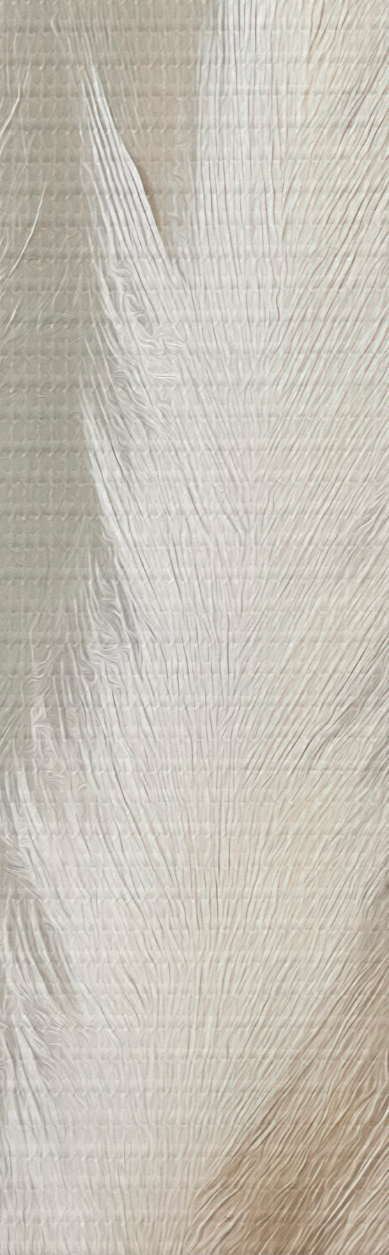 Pilt pampasrohi s51151