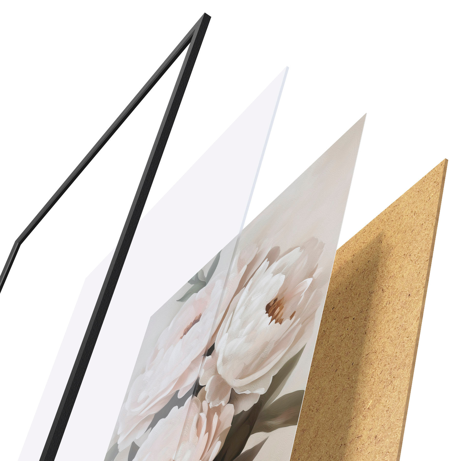 Plakat Pojengid f51154