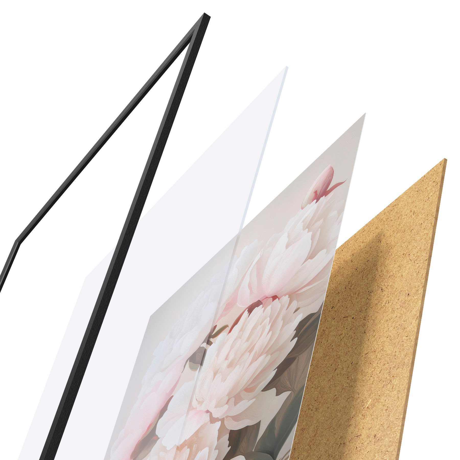 Plakat Pojengid d31104