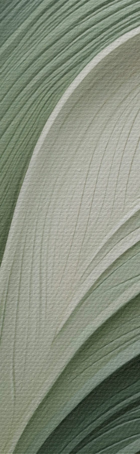 Pilt Abstraktsioon s51161