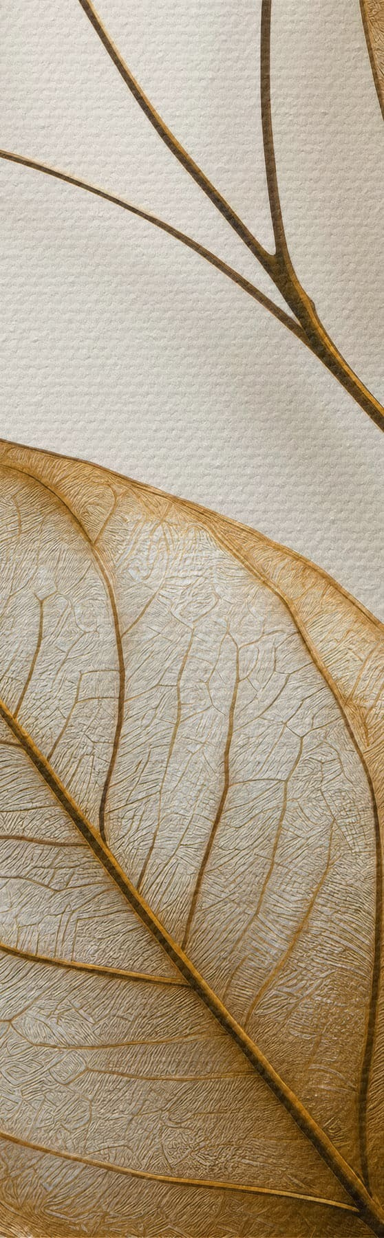 Pilt Elegantne botaaniline oks s50866