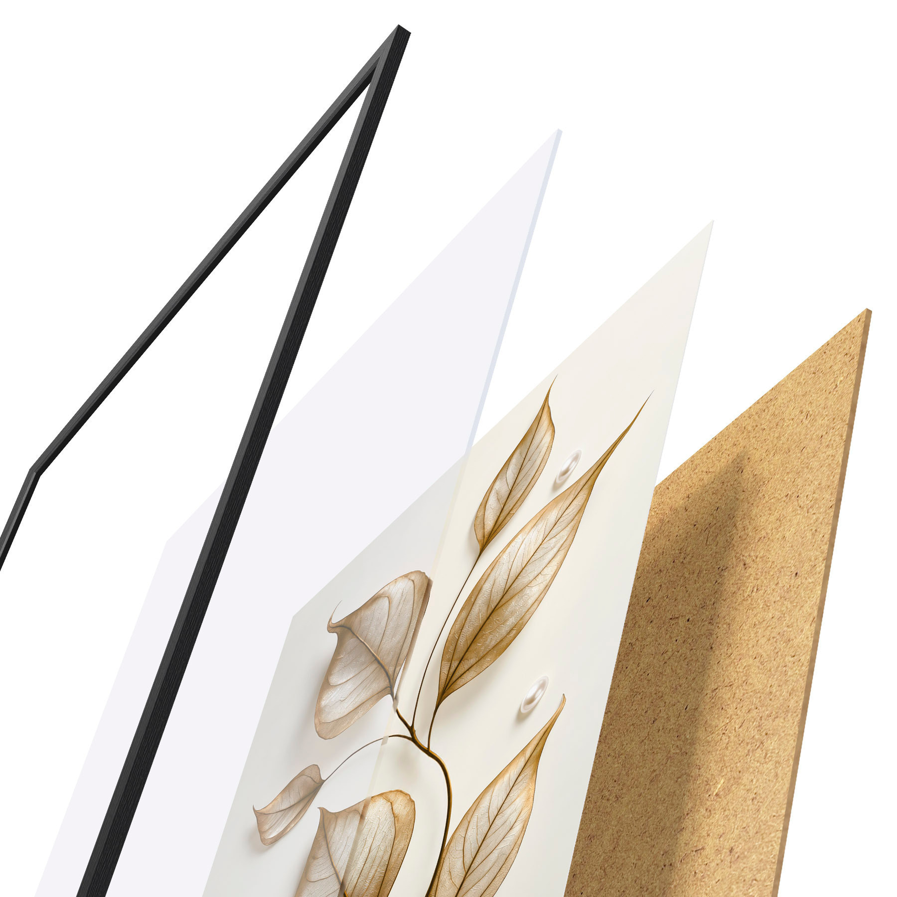 Plakat Elegantne botaaniline oks f50866