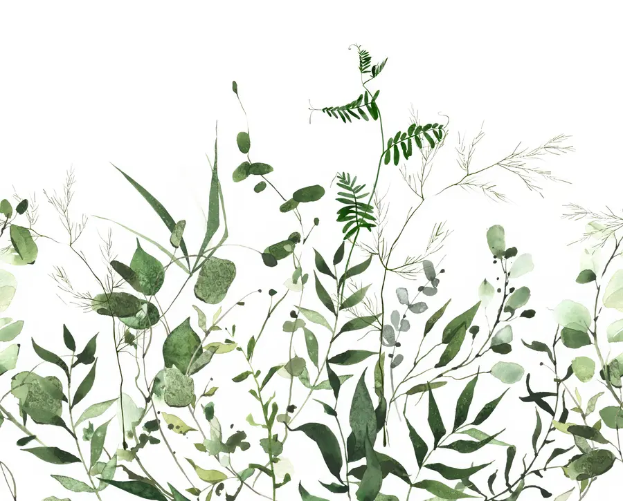 Fototapeedid Rohelised metsikud oksad u72395