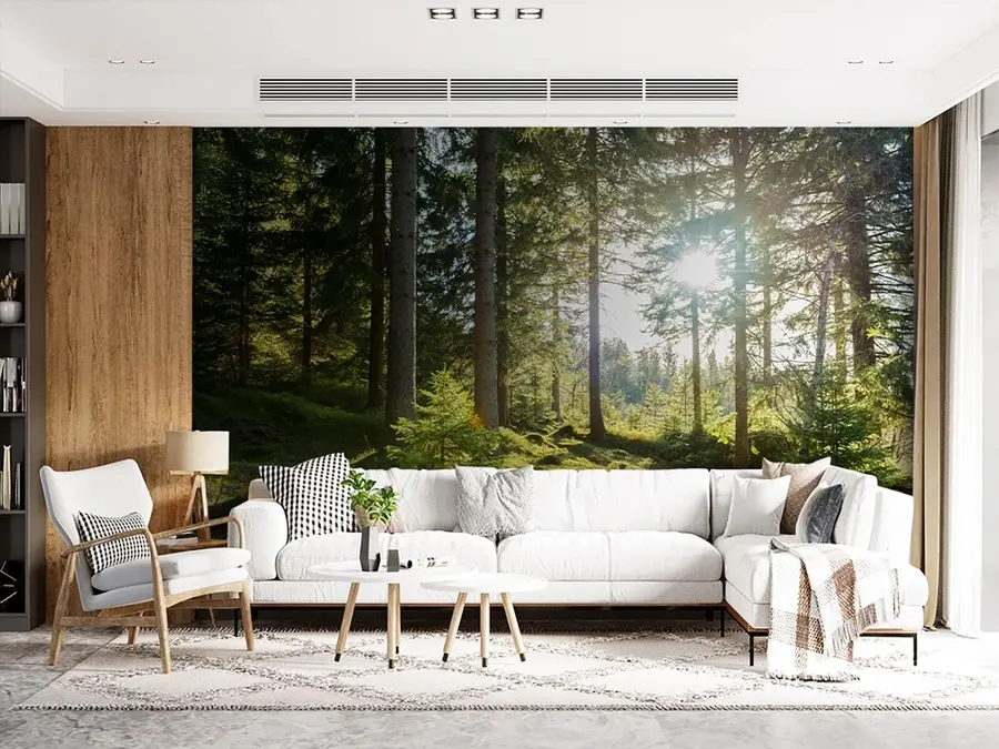 Fototapeedid Carkonoshe mäed Poolas u80015