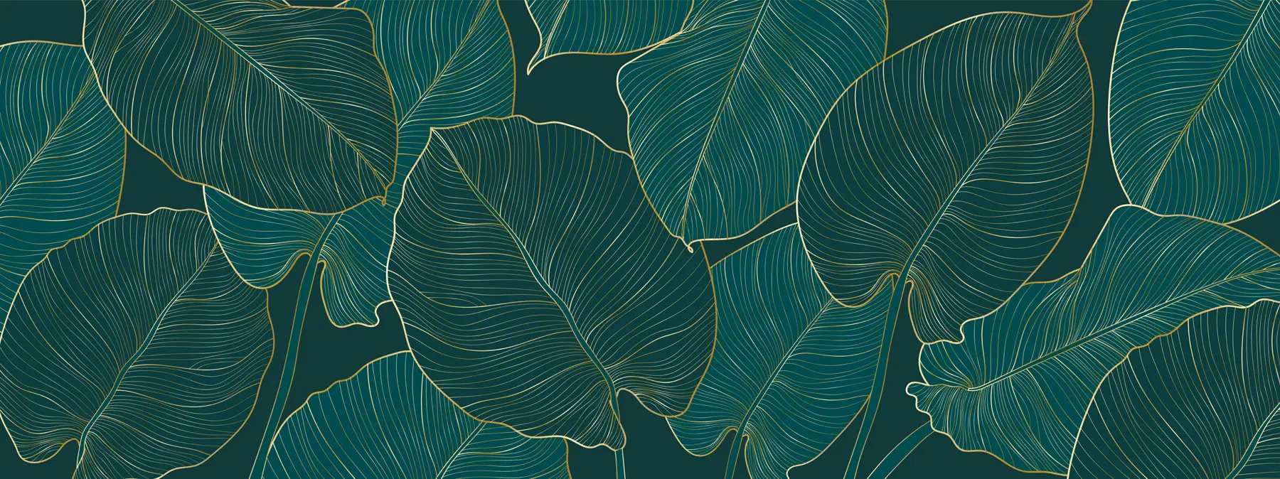 Fototapeedid Philodendron u73653