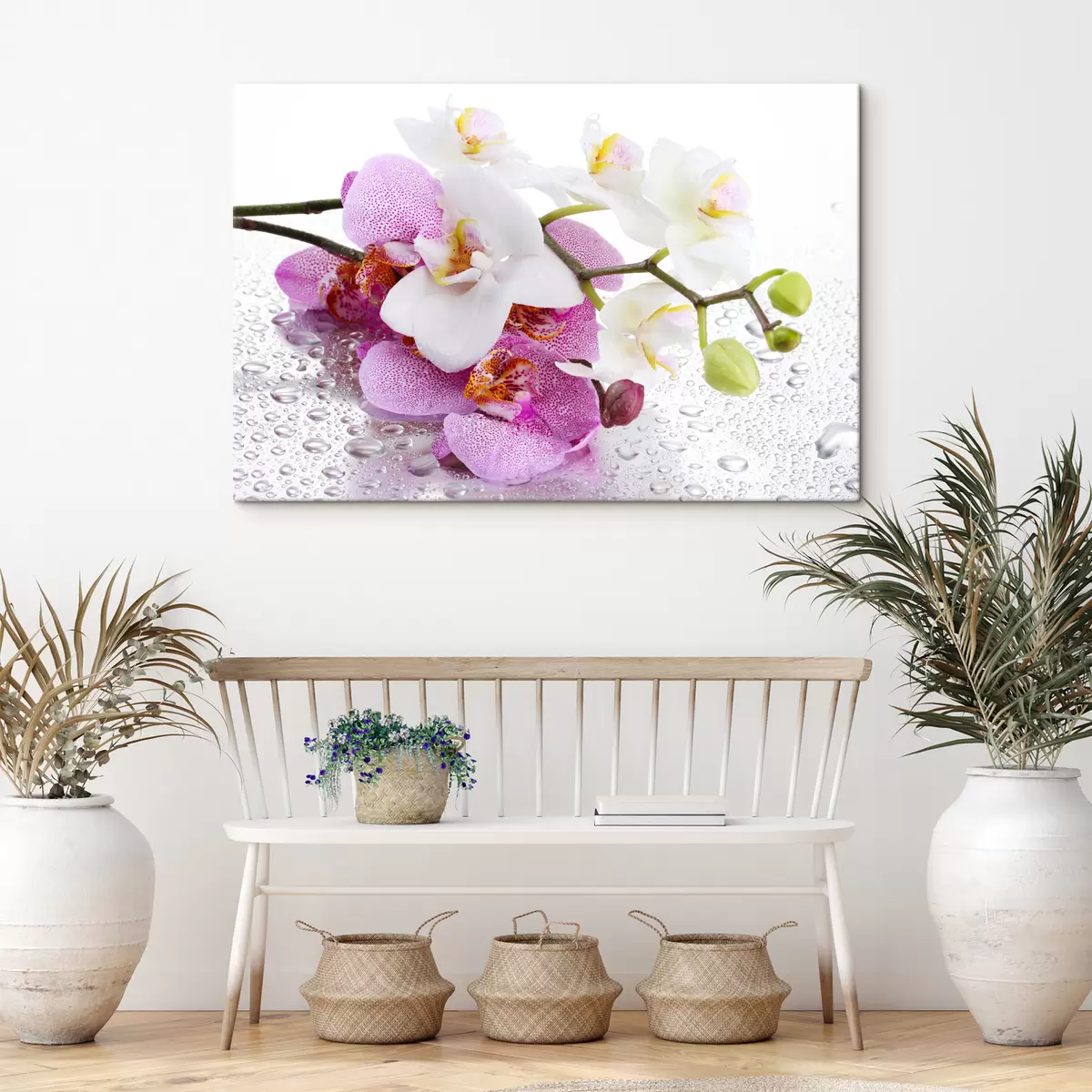 Pilt Lill, taim ja kroonleht s15063