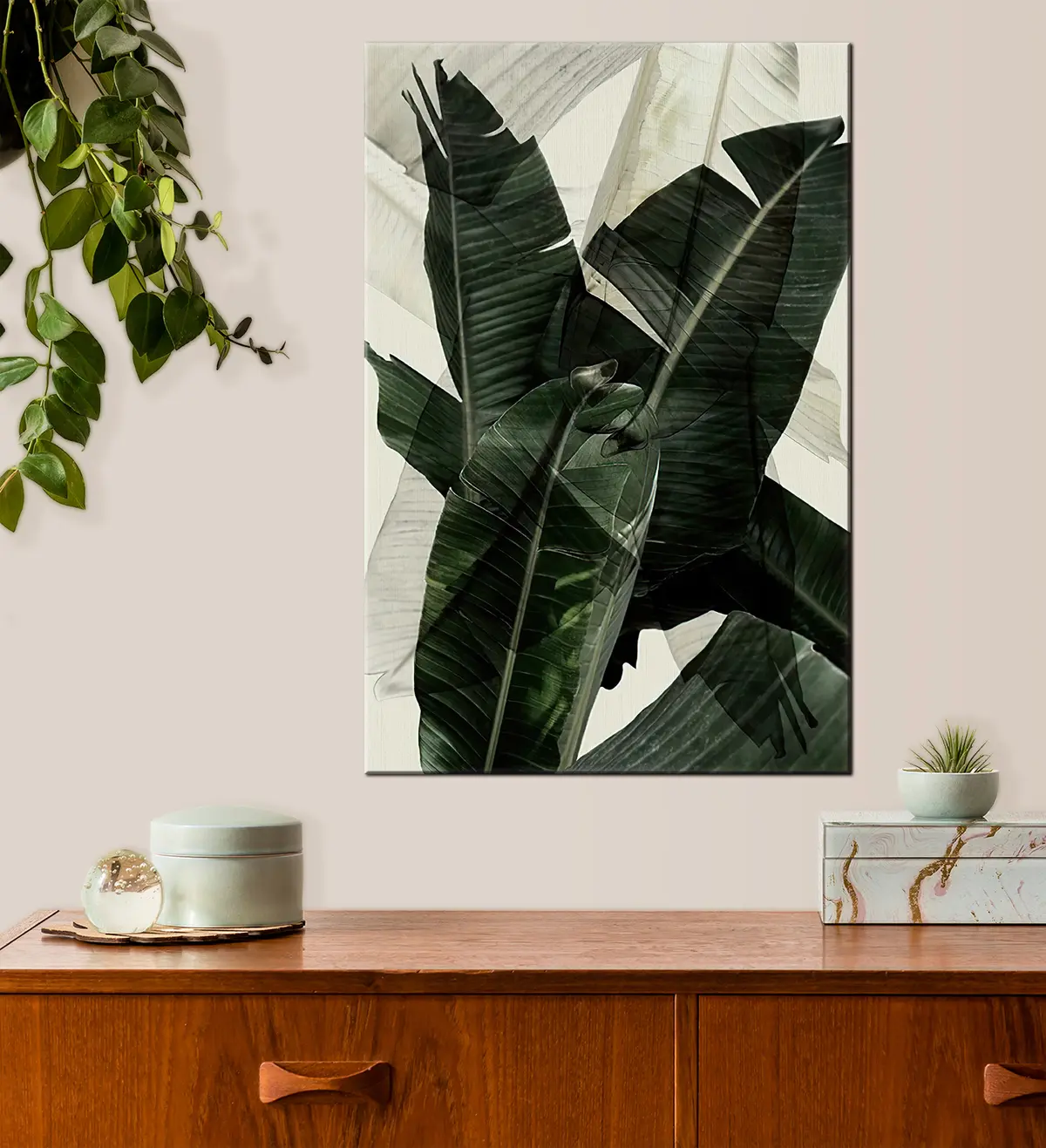 Pilt Taim, maismaataim ja banaanileht s21747