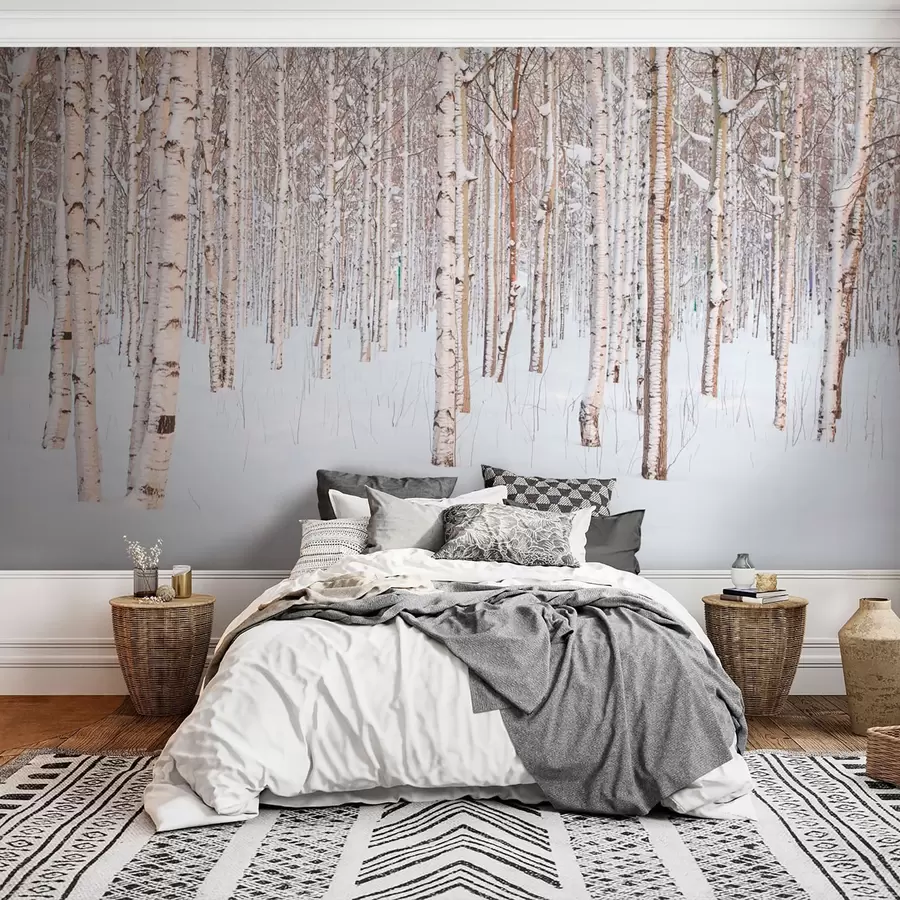 Fototapeedid Kasemets lumes u74232