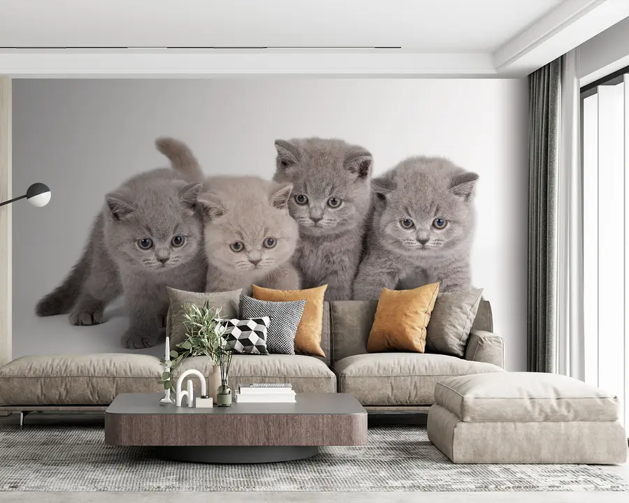 Fototapeedid Silm, kass ja lihasööja u55076