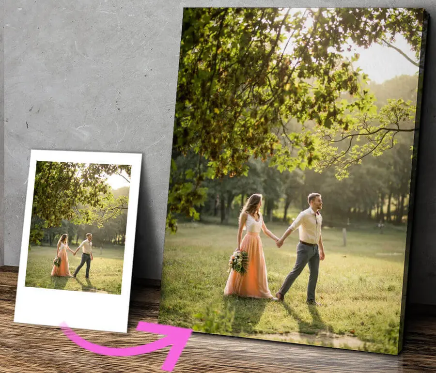 Pilt Taimed, fotod ja inimesed looduses s31871