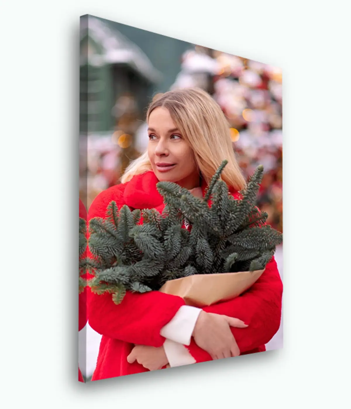 Pilt Nägu, koer ja foto s33123