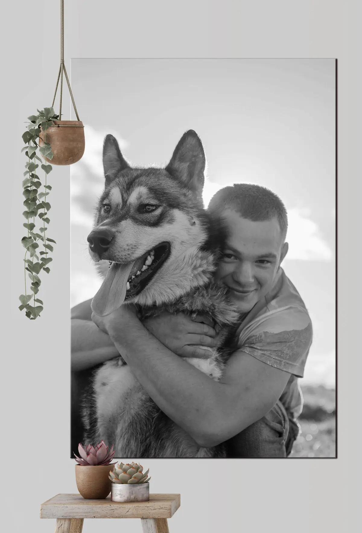 Pilt Koer, koeratõug ja varrukas s33339