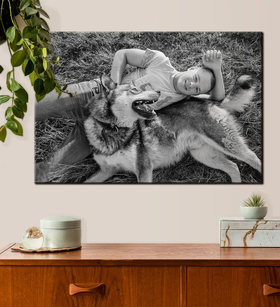 Pilt Koer, žest ja must-valge s33340