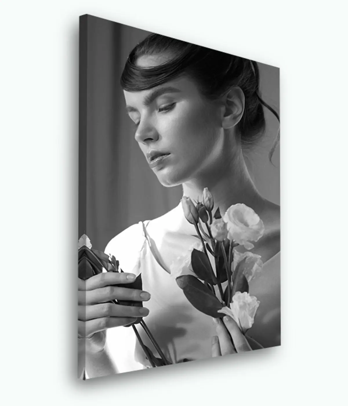 Pilt Istuta, käsi ja pildista s33367