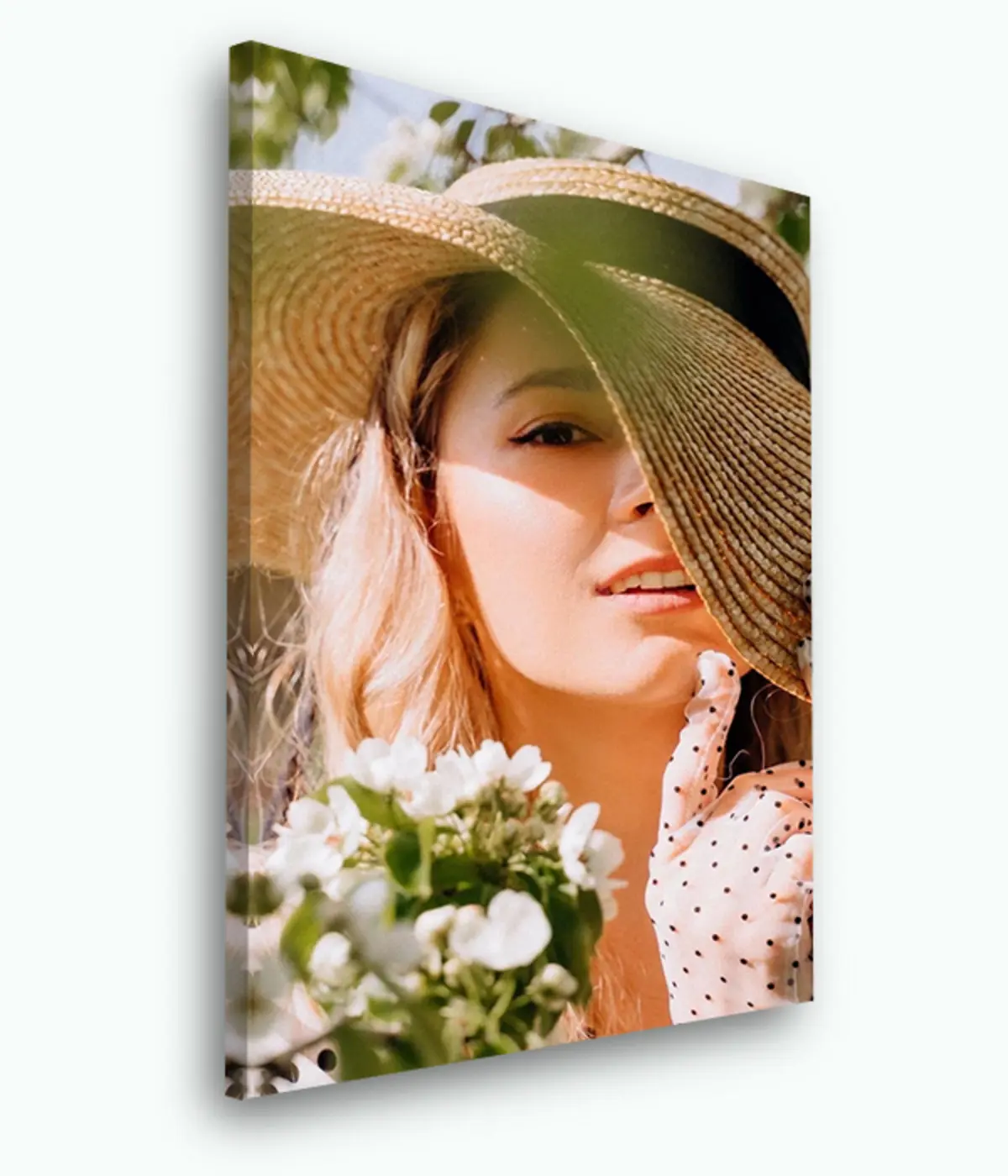 Pilt Lill, taim ja lillepott s33424