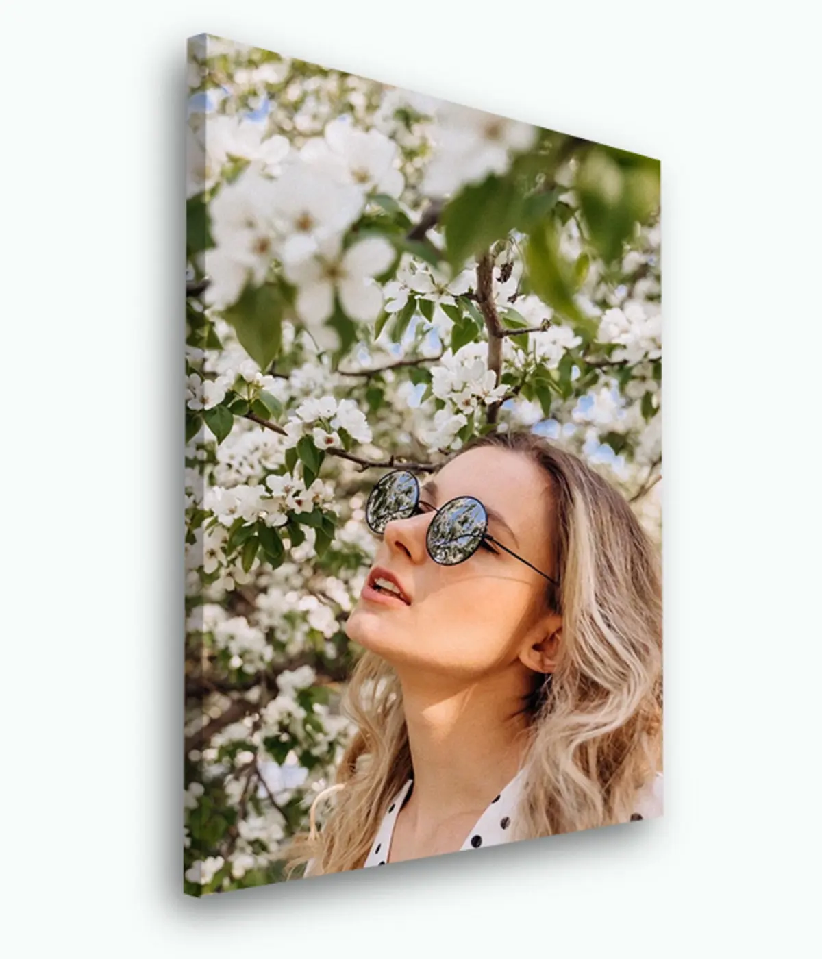 Pilt Päikeseprillid, nägemise hooldus ja taim s33425