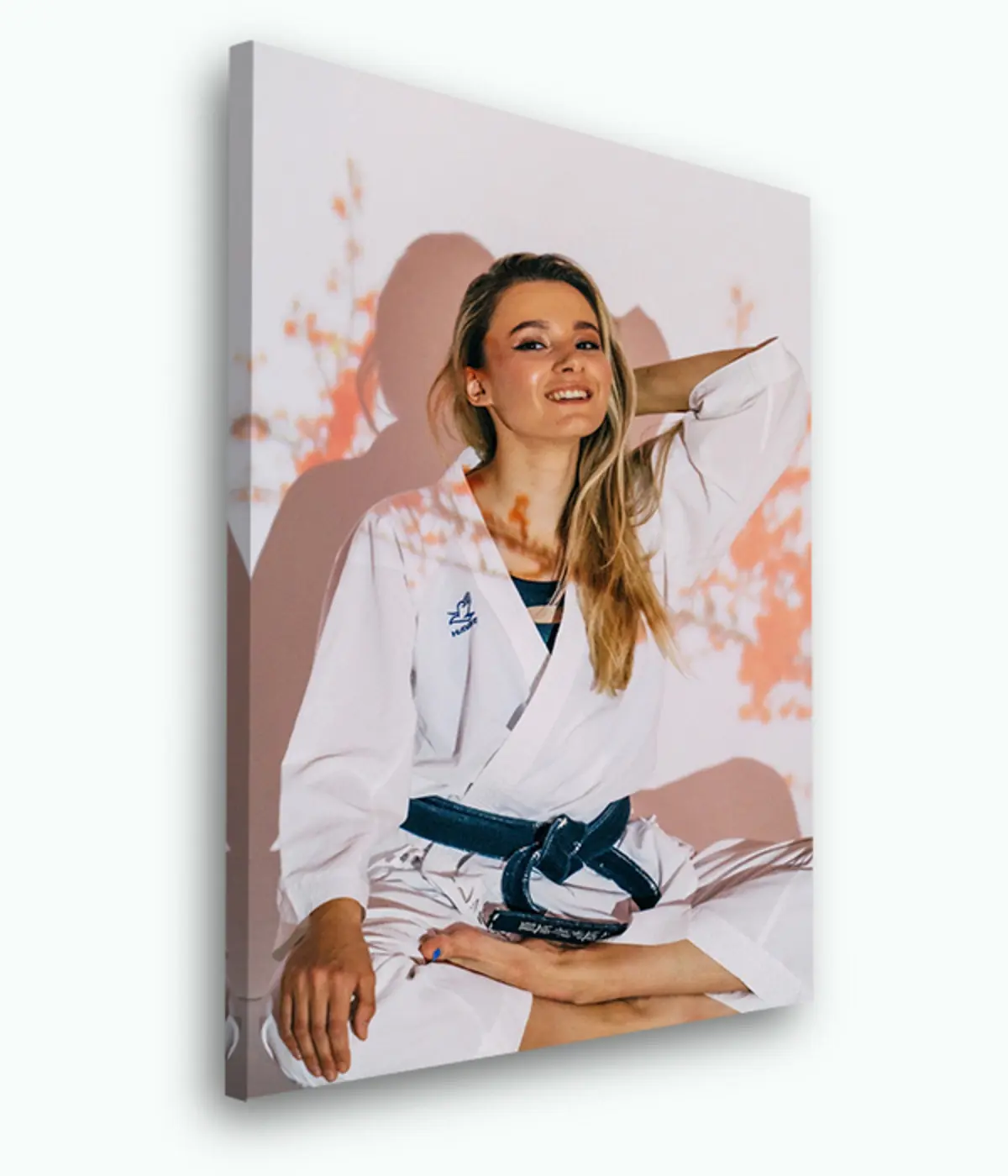 Pilt Foto, koer ja valge s33428