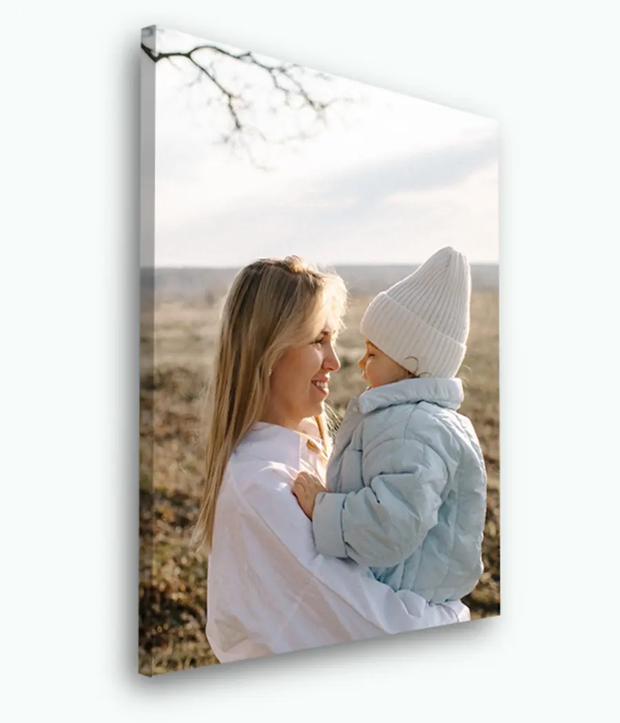 Pilt Taevas, lillepott ja taim s33460