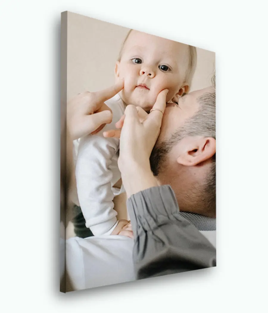 Pilt Lillepott, taim ja ripsmed s33461