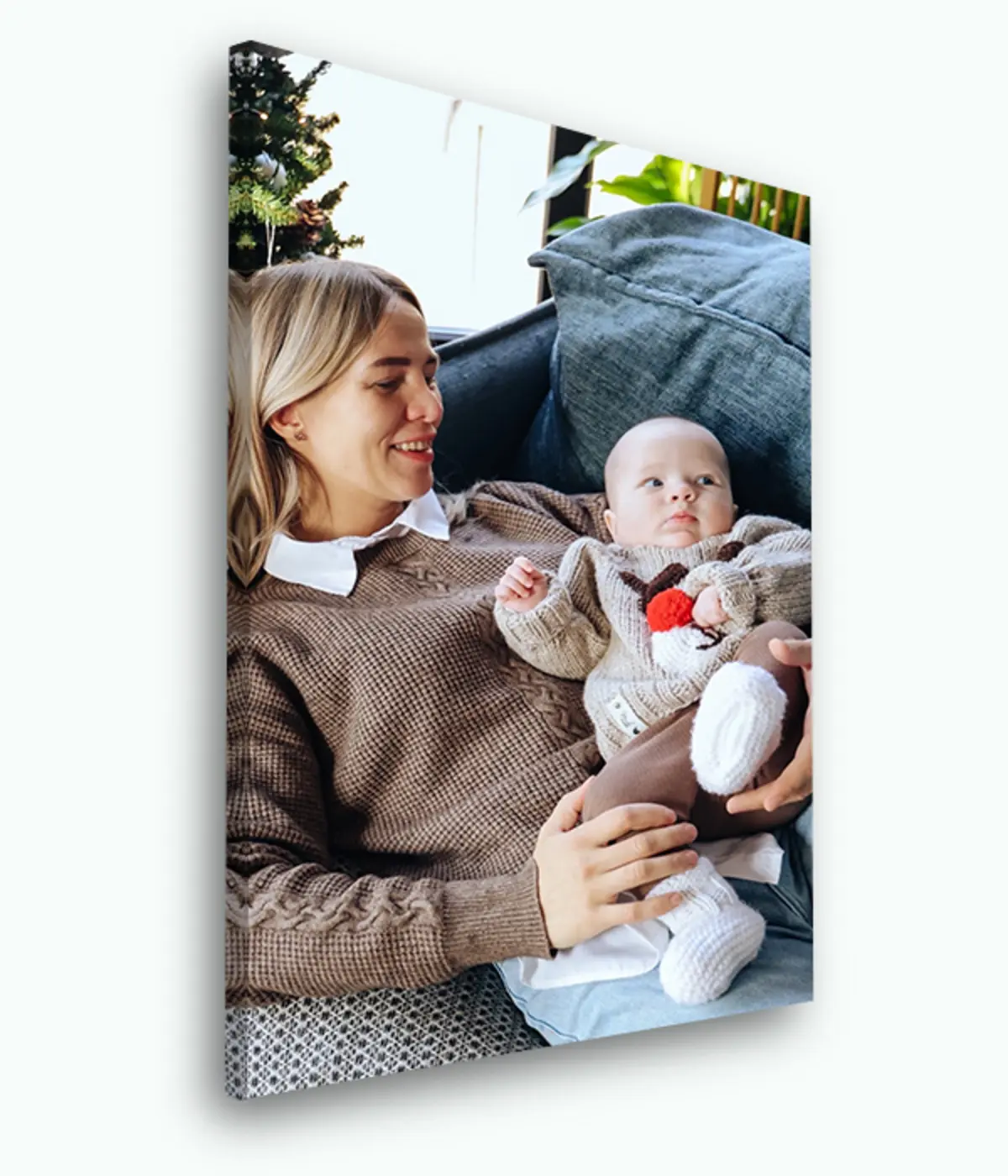 Pilt Foto, mugavus ja inimlik s33469