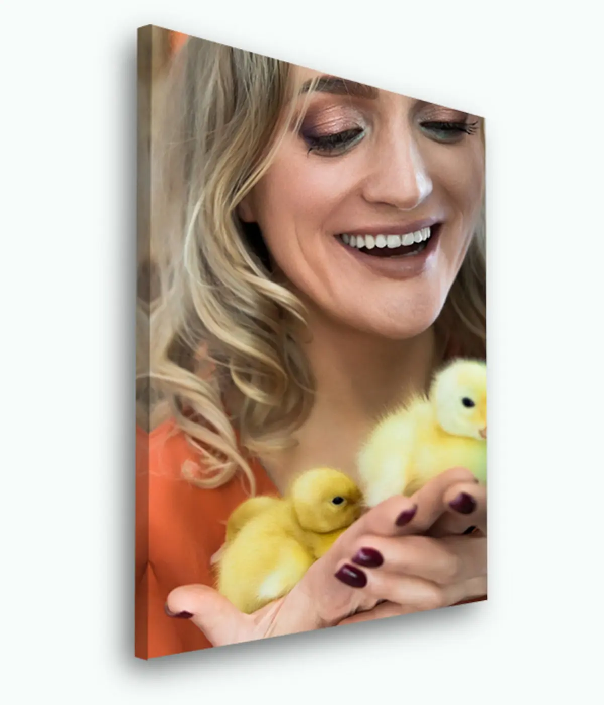 Pilt Naerata, taim ja puuvili s33472