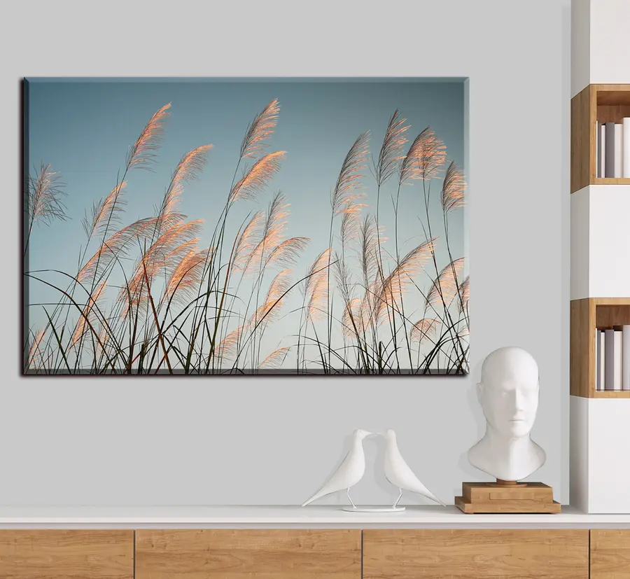 Pilt Taevas, taim ja oks s33593