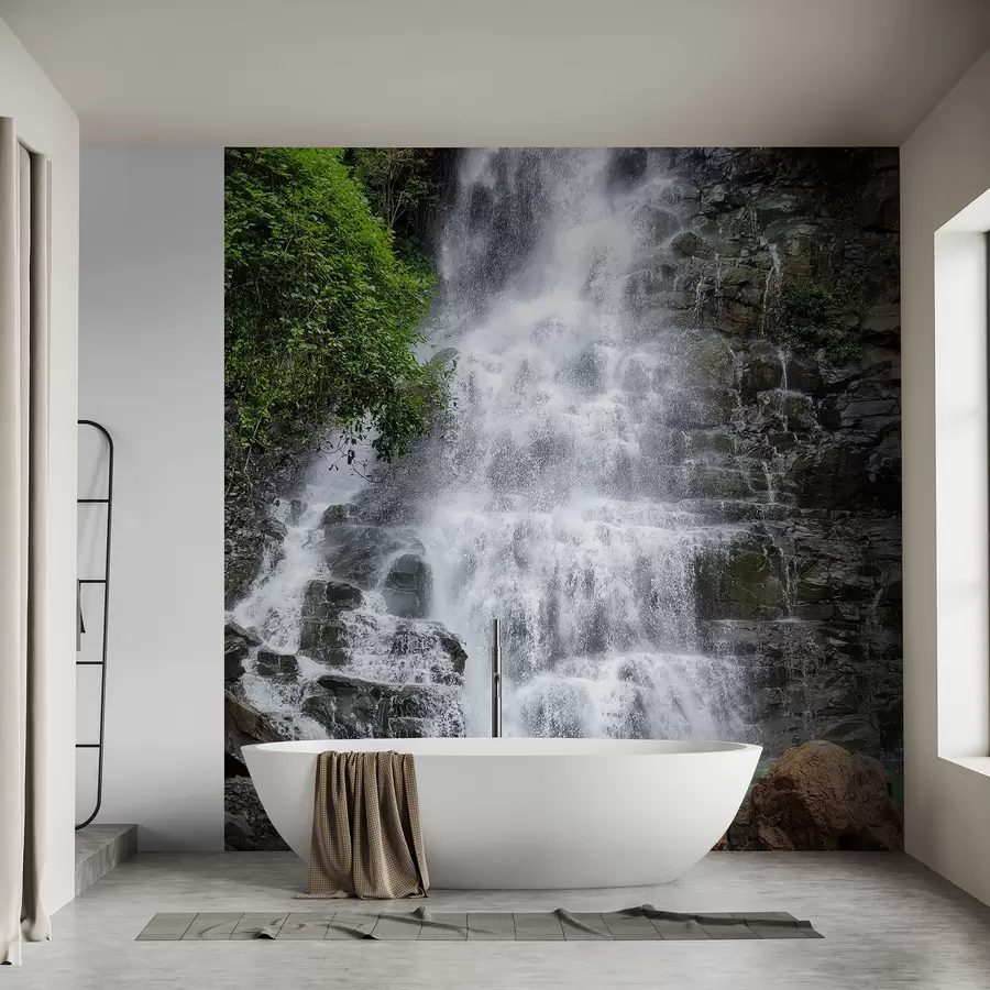 Fototapeedid Troopiline juga u15856