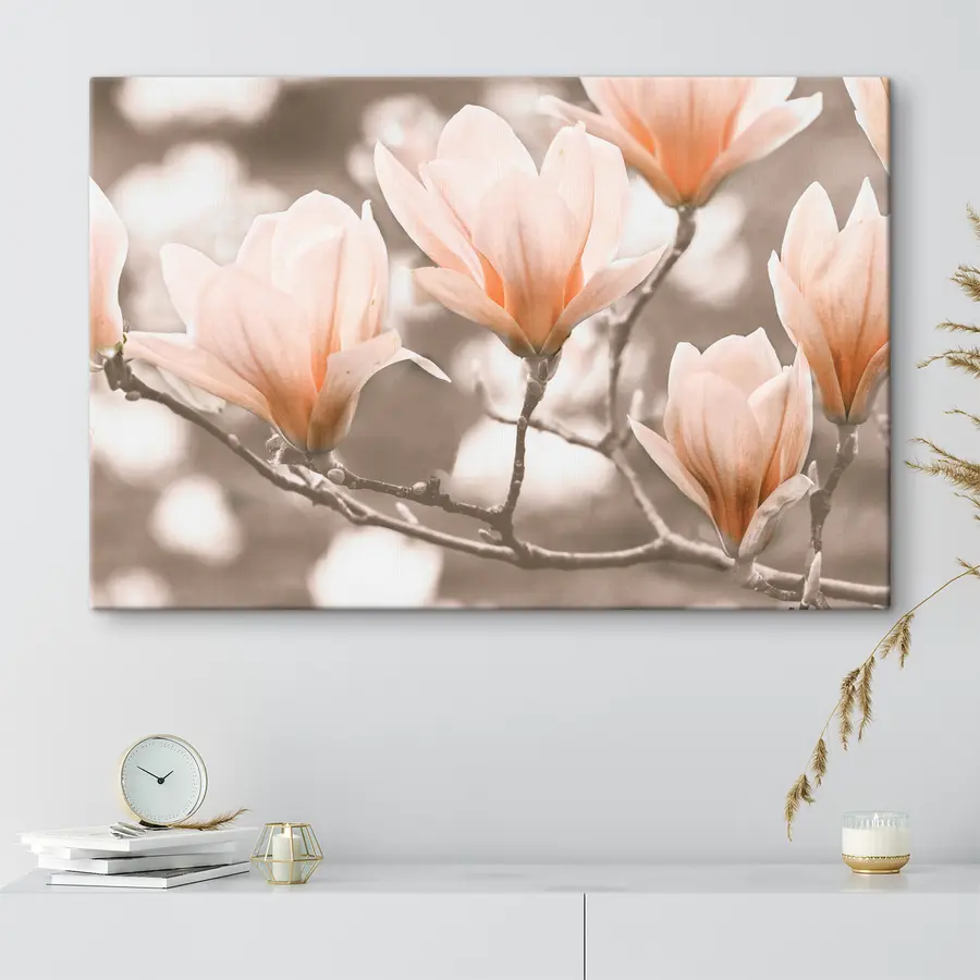 Pilt Kreemjas magnooliad s35232