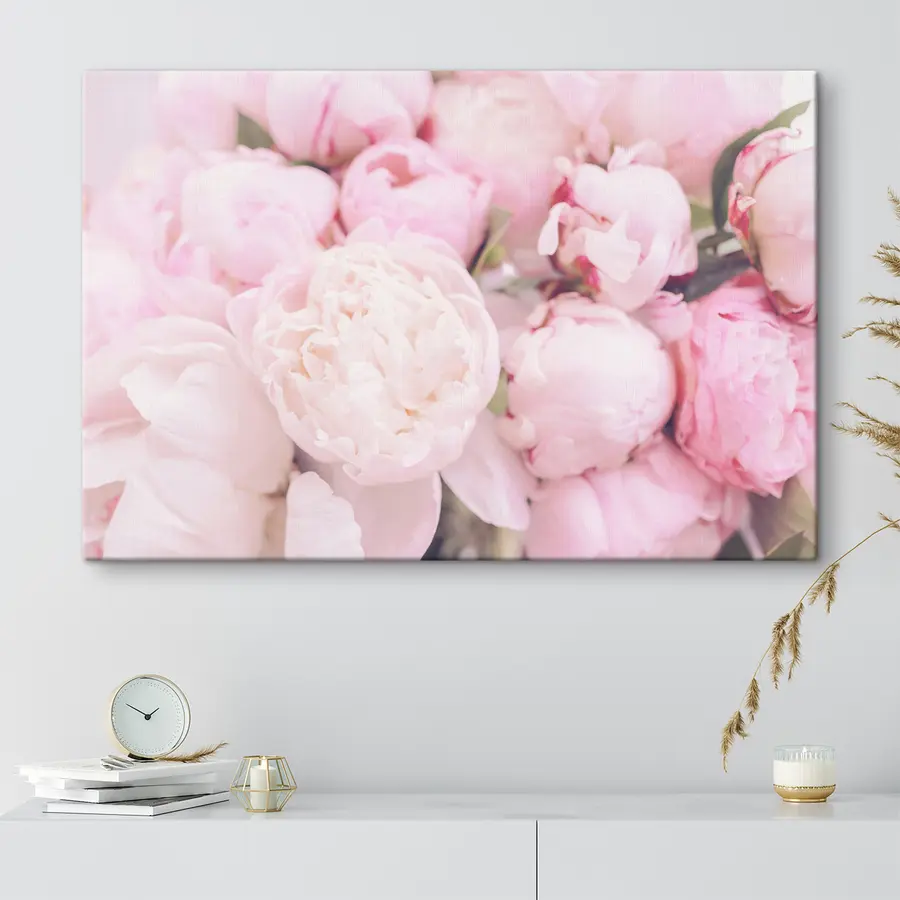 Pilt Õrnroosad pojengid s35244