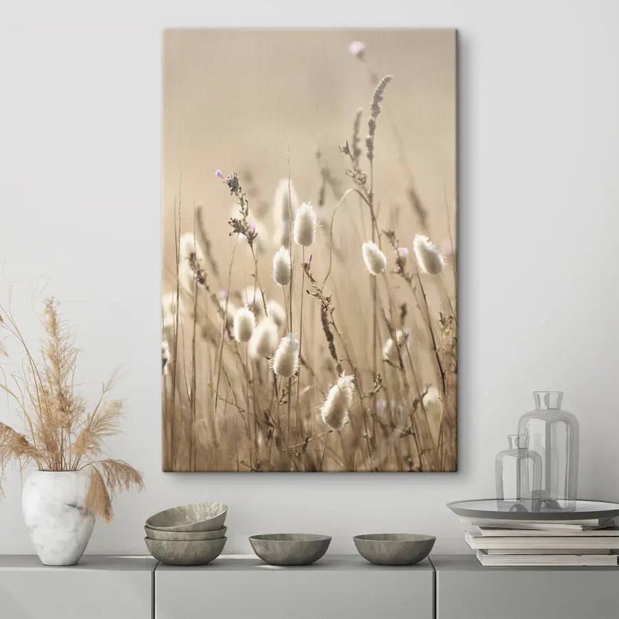 Pilt põllu taimed s35256