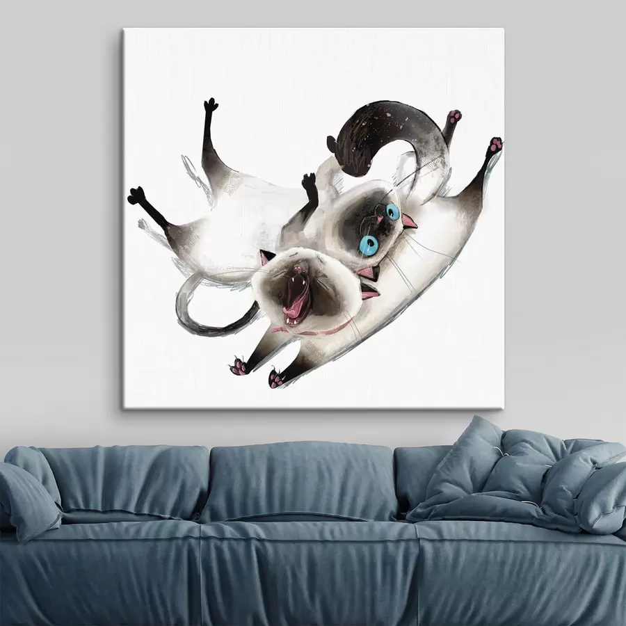 Pilt Mänguhimulised kassid naudivad oma aega koos s34990